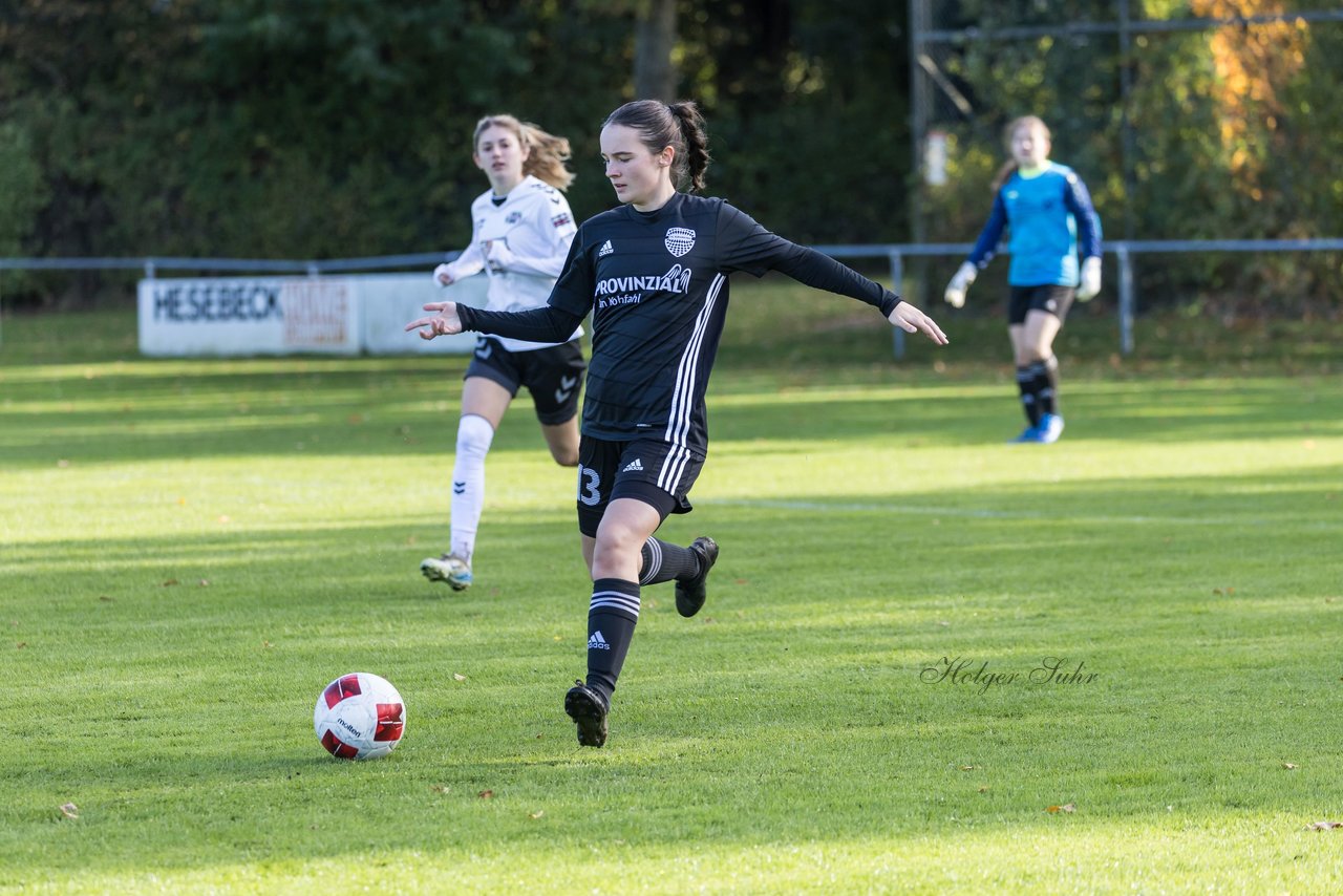 Bild 249 - F SV Henstedt Ulzburg2 - FSG Kaki-StuSie : Ergebnis: 2:2